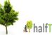 Nasce Halftree un progetto a sostegno degli alberi da frutta